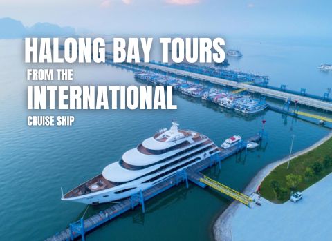 Halong Bay Tour from International Cruise Ship
