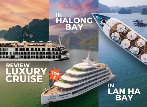 Review 5 Luxury Cruises in Halong Bay & Lan Ha Bay