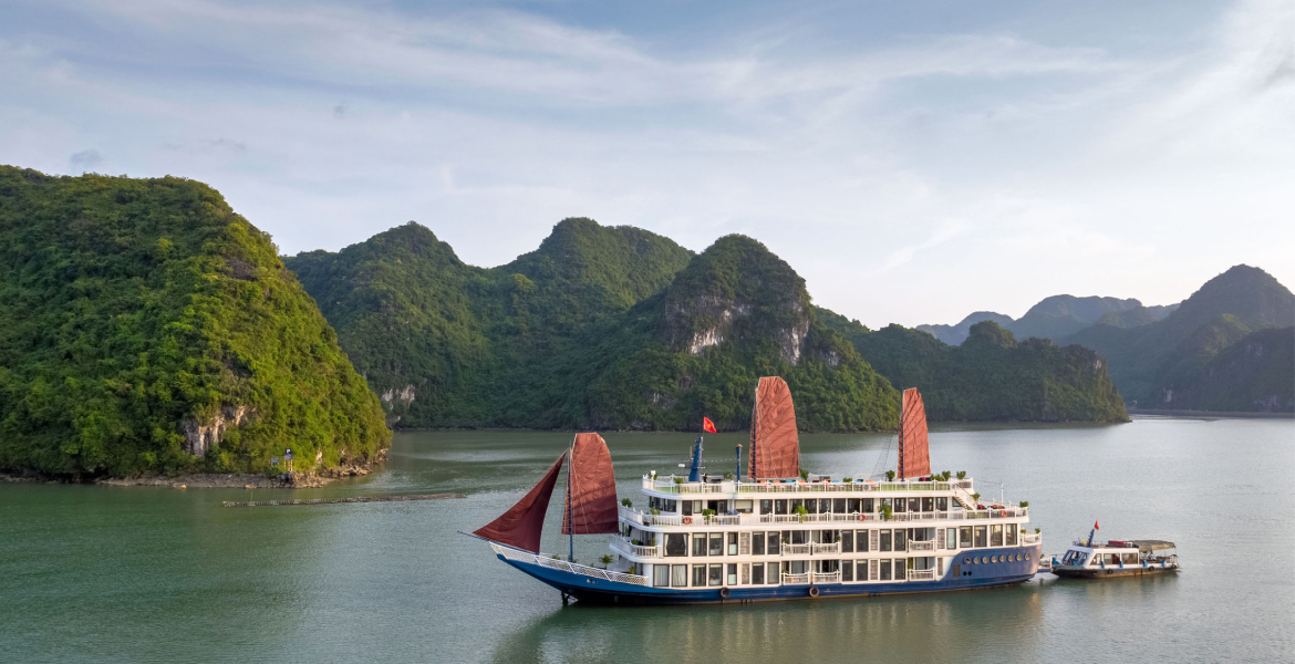 Verdure Lotus Cruise
