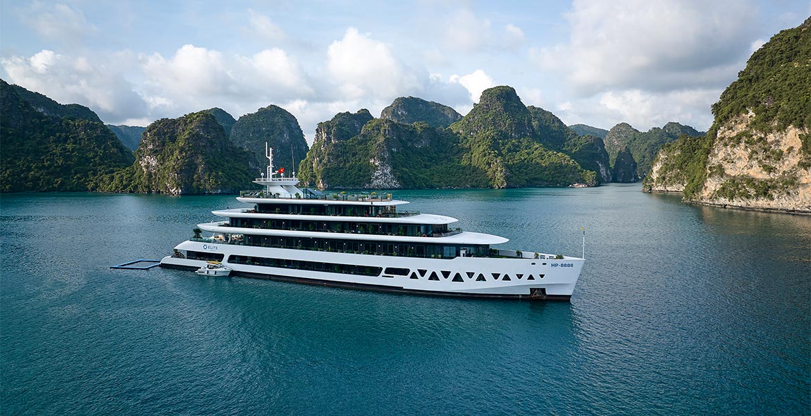 Elite Of The Seas