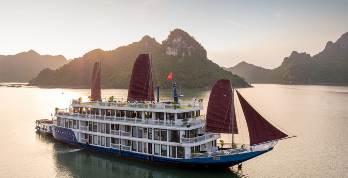 Verdure Lotus Cruise
