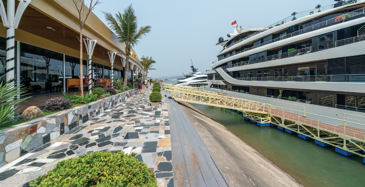 Calista Cruise