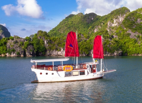 Amazing Sails Private Day Cruise