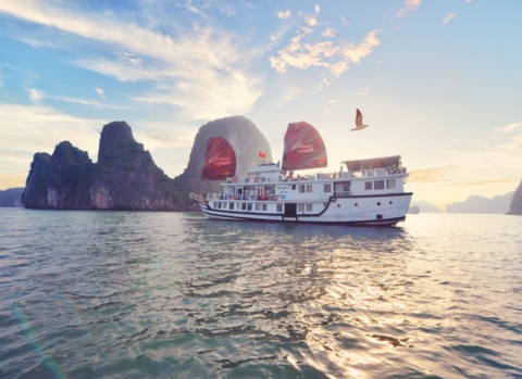Bai Tu Long Bay 1 Night Cruise