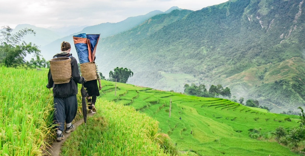 Hanoi - Sapa - Halong Bay 7 Days
